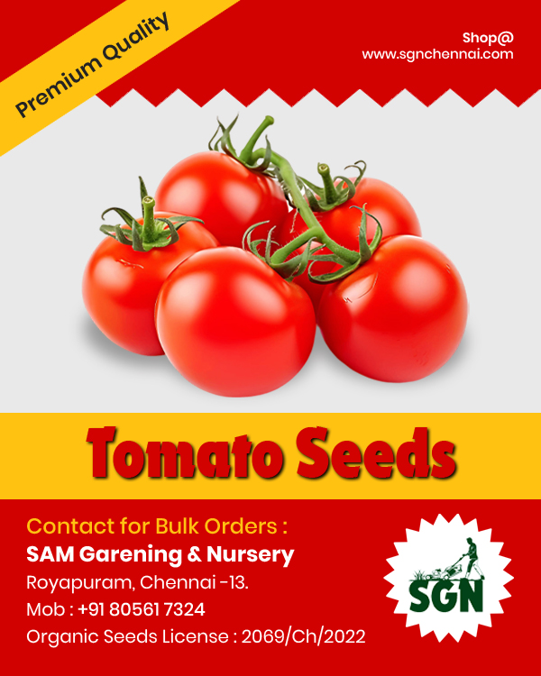 Fresh and Premium Tomato Seeds – Grow Juicy Tomatoes at Home!